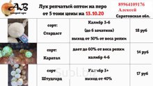 Лук на перо