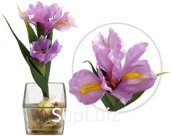 Decorative flowers Irises in a vase Size: 13x10x27 cm Color: pink