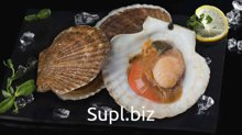 Морской гребешок
на полустворке