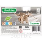 Конструктор деревянный Tadiwood "Саранча"