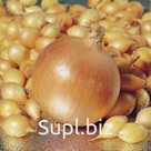 Лук