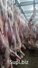 Полутуши говядина охл зам