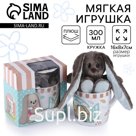 Набор "Зайка Lu" игрушка в кружке, заяц, 16 см