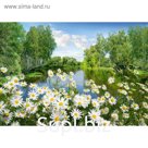 Фотообои Ромашки ЛЮКС 1,94х1,36 м (из 4 листов)