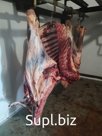 Говядина охлажденная