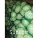 Капуста белокочанная