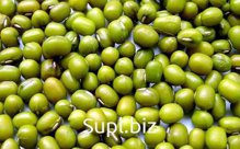МАШ ЗЕЛЕНЫЙ МЕЛКИЙ