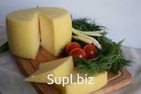 Сыр натуральный, собственное производство, оптом.