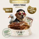 Утиные лапки