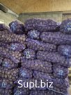 Картофель