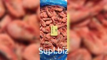 Северная креветка ВМ